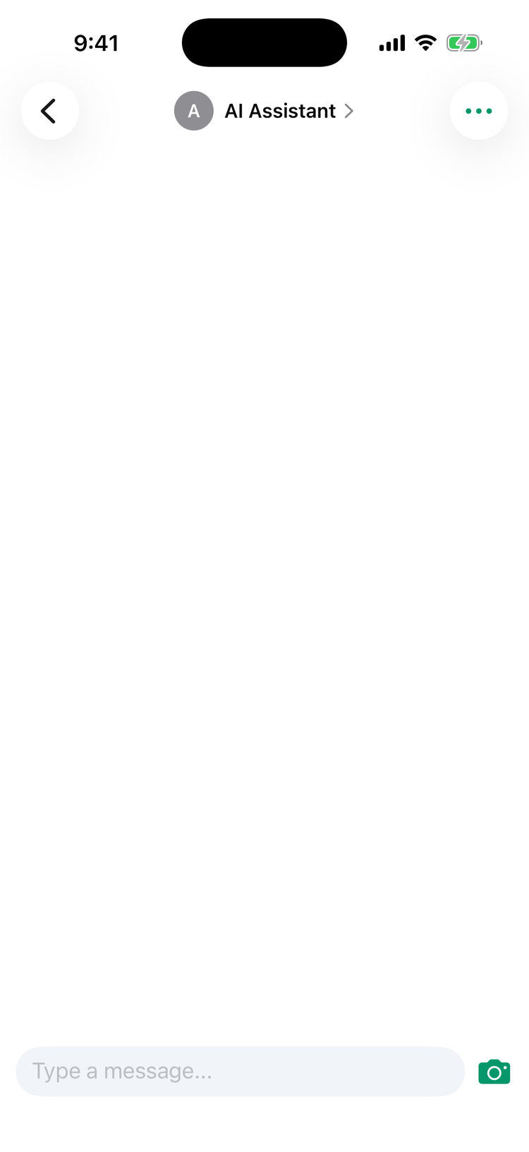 An empty chat with the AI Assistant on iPhone: the AI Assistant name at the top and, at the bottom, the Type a message... box with only a camera button next to it